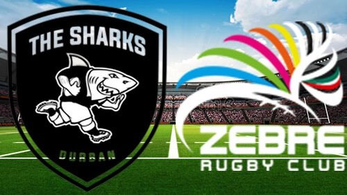 Sharks v Zebre